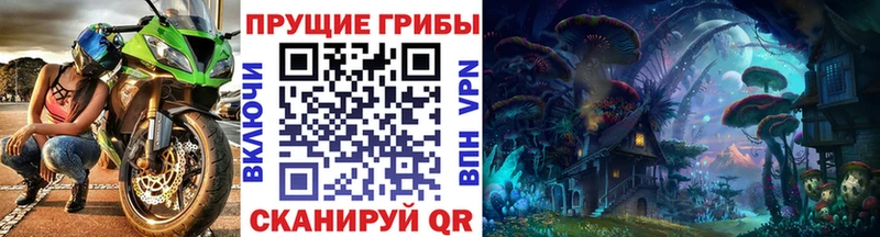 где продают наркотики  Подпорожье  Псилоцибиновые грибы MAGIC MUSHROOMS 
