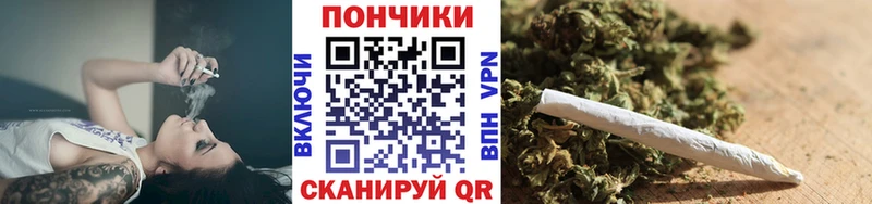 Бошки марихуана планчик Подпорожье